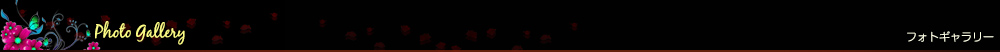 ギャラリー